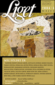 Liget 2004/5 borító