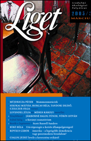 Liget 2005/3 borító