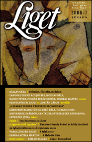 Liget 2006/7 borító