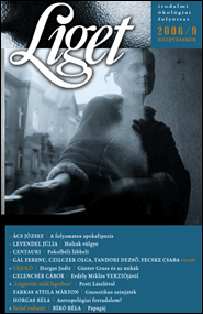 Liget 2006/9 borító