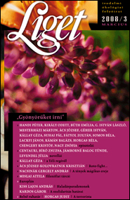 Liget 2008/3 borító