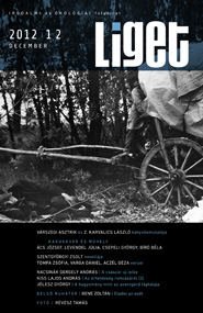 Liget 2012/12 borító