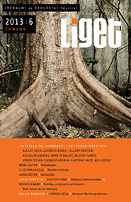 Liget 2013/6 borító