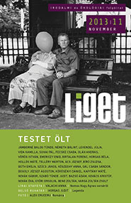 Liget 2013/11 borító